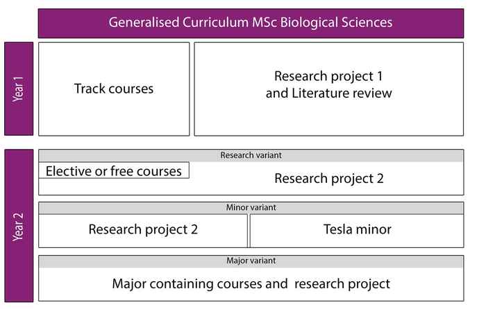 Generalised Curriculum MSc Biological Sciences