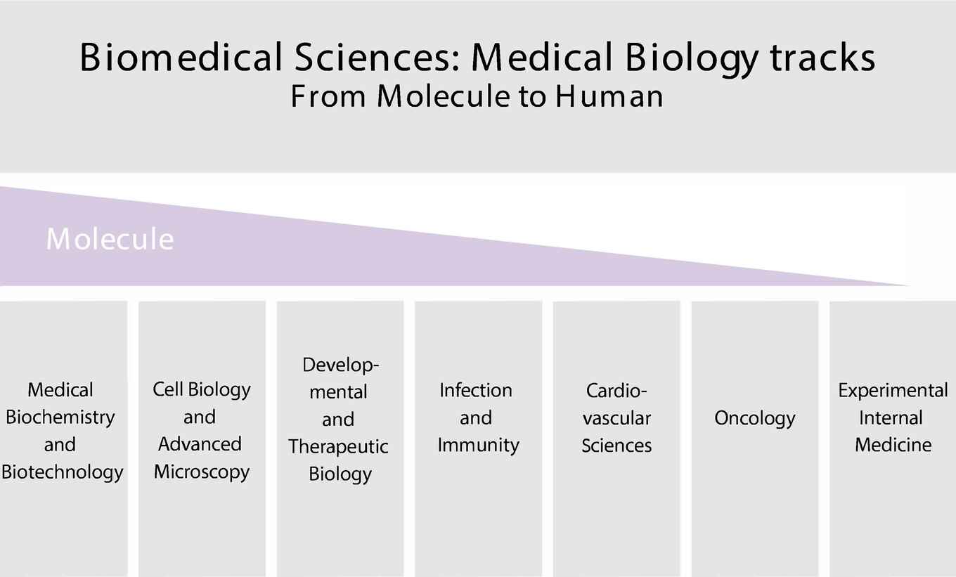 Medical Biology tracks