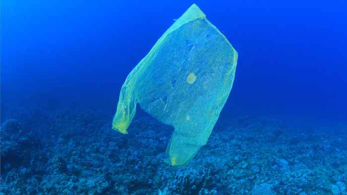 plastic bag in sea