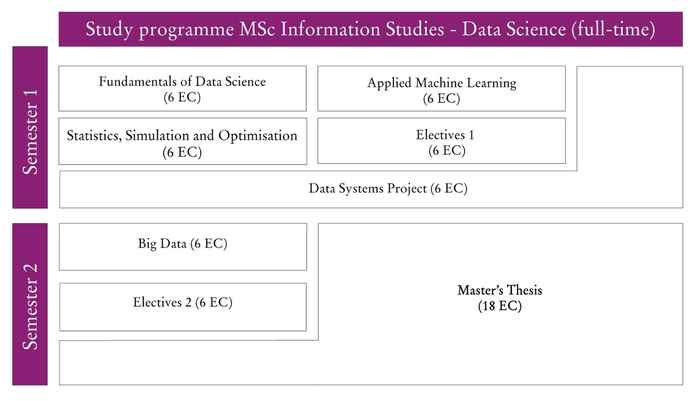 Curriculum schema Data Science full-time