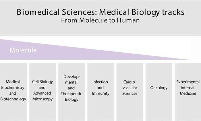 Medical Biology tracks