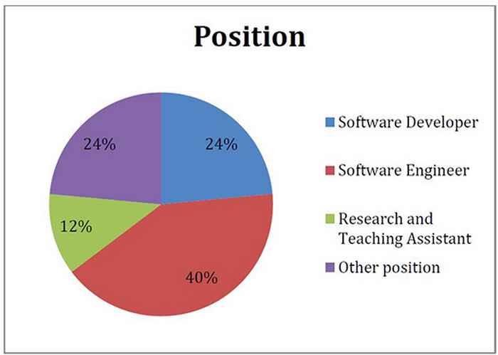 Positions Software Engineering