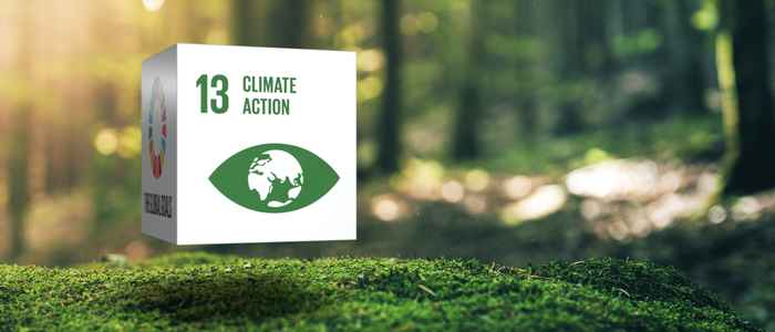 Icon of climate goal 13