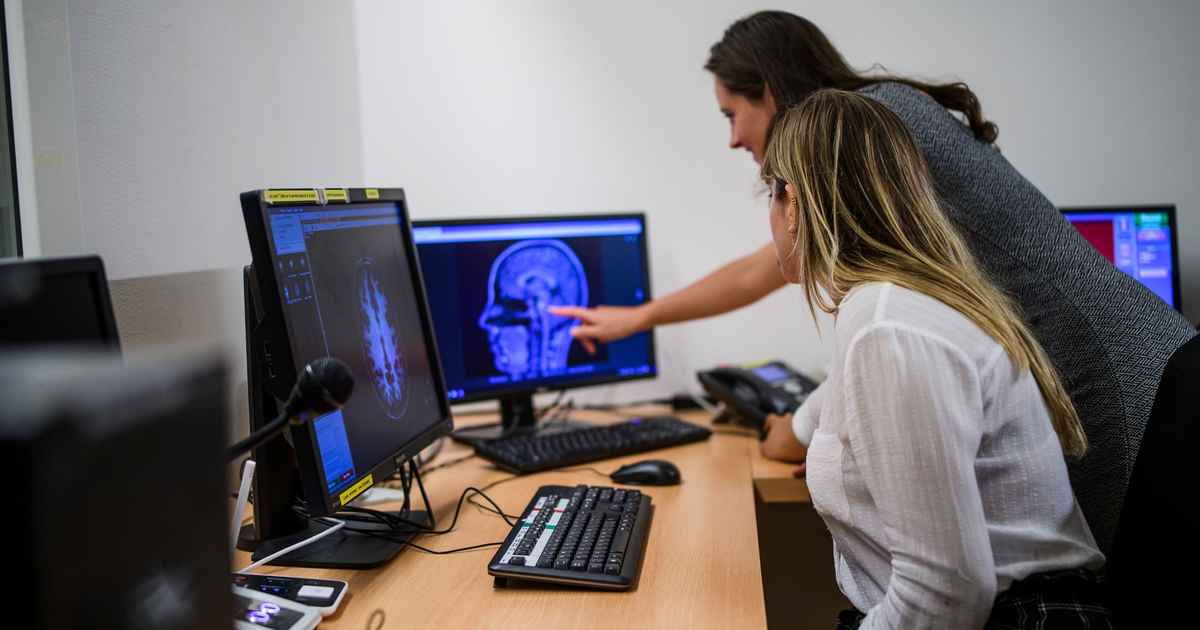 Study programme - Research Master's Brain and Cognitive Sciences