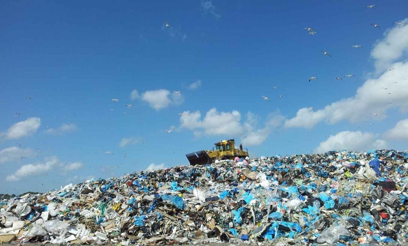 Bron: Onderzoeksteam Willem Bouten