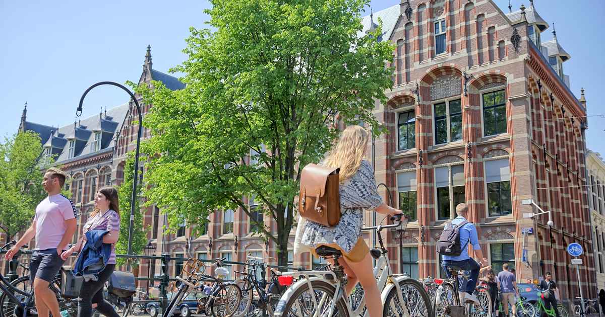 Hammaning koz ongida sikildi (porno onlayn)