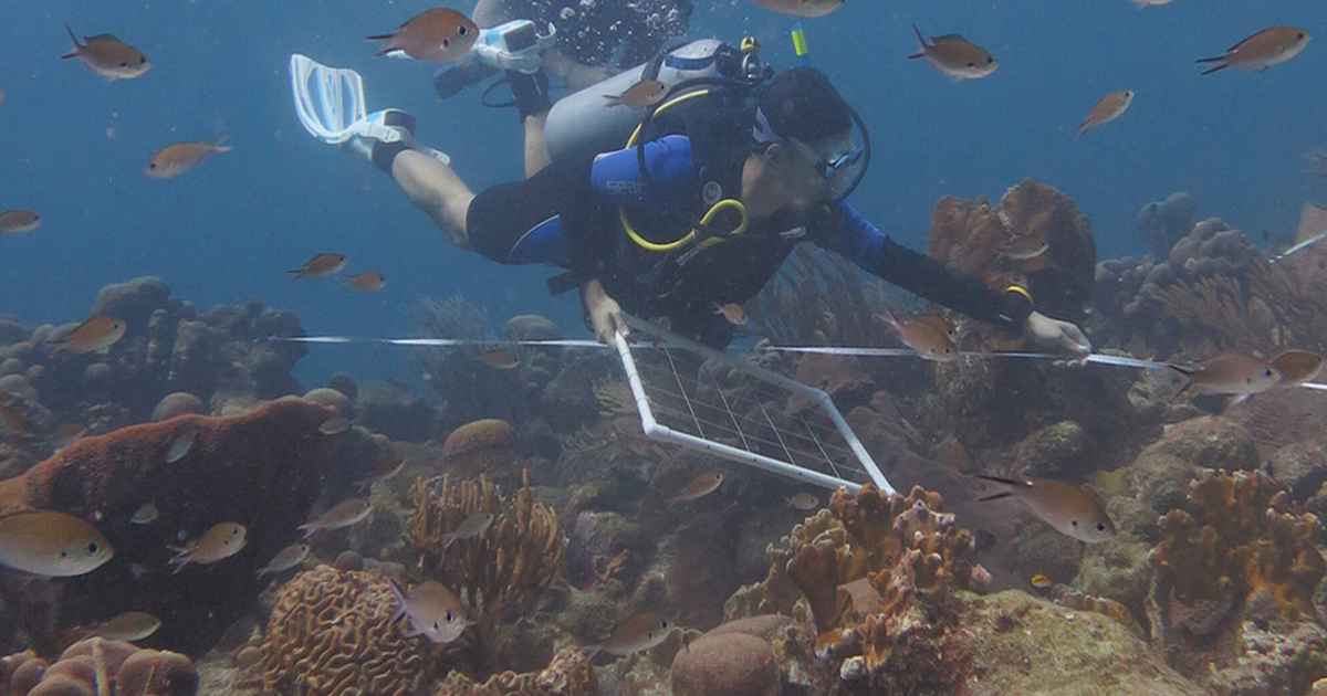 Open Day Master Biological Sciences Freshwater & Marine Biology