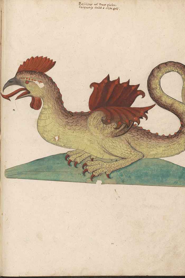 Basilisk aquarel in album gessner Platter voor 1614