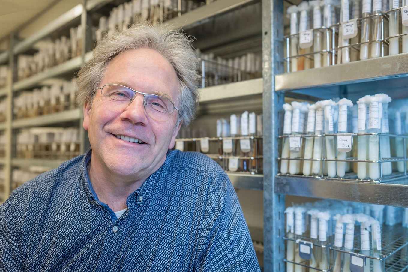 Prof Teun Boekhout, Professor Fungal Functional Diversity