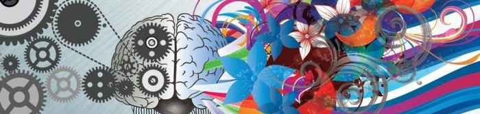 a brain full with colours