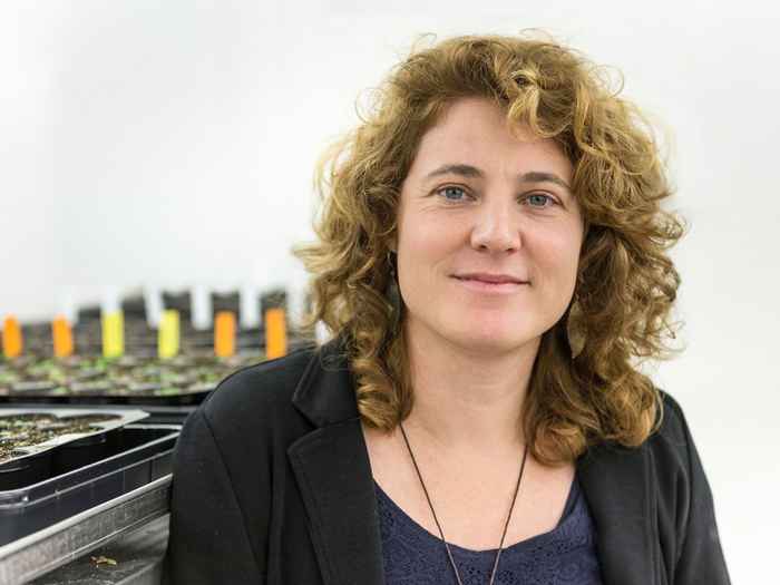 Testerink, Christa, hoogleraar FNWI, Plantencelbiologie