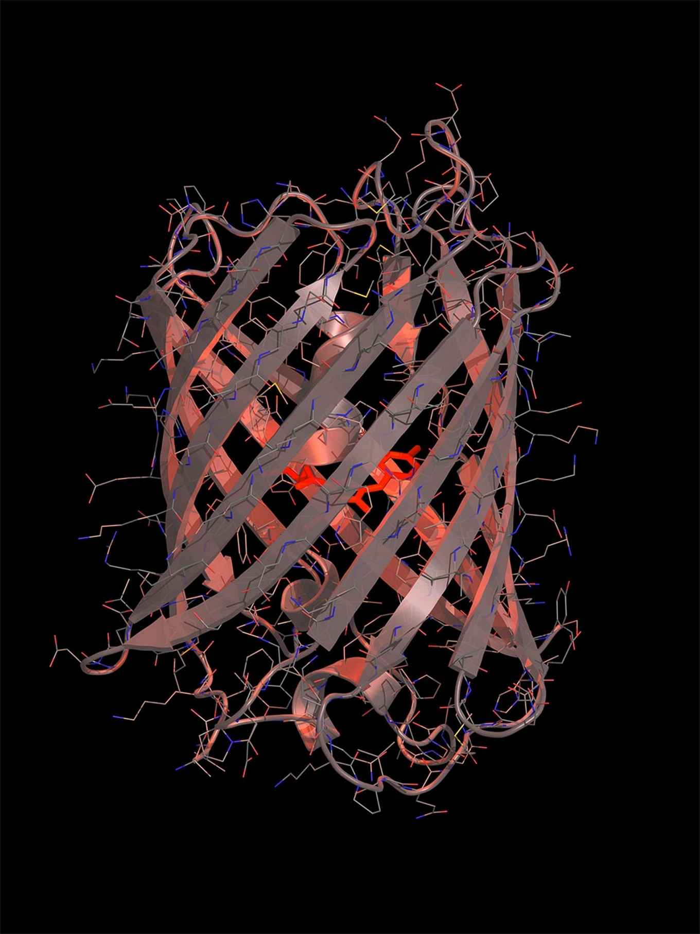 Molecuulstructuur eiwit mScarlet