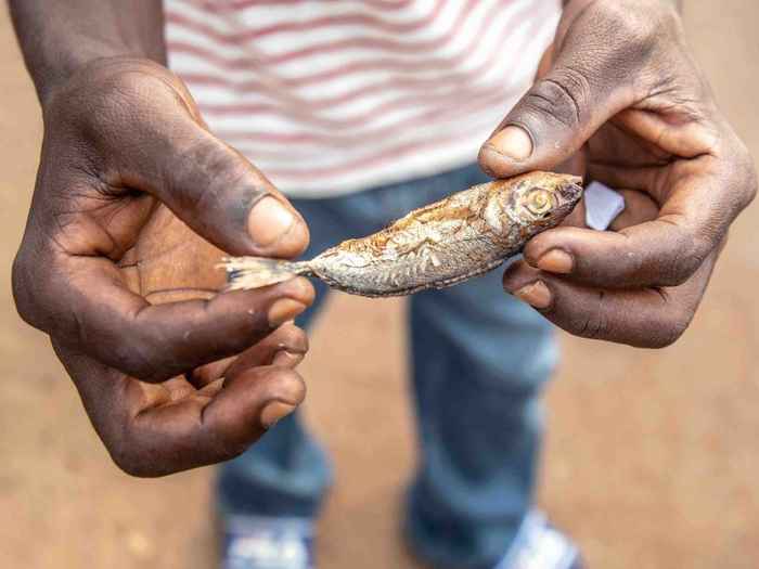 Men holds a small fish in his hands