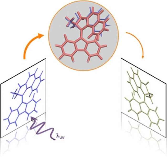 Under the hood of molecular motors