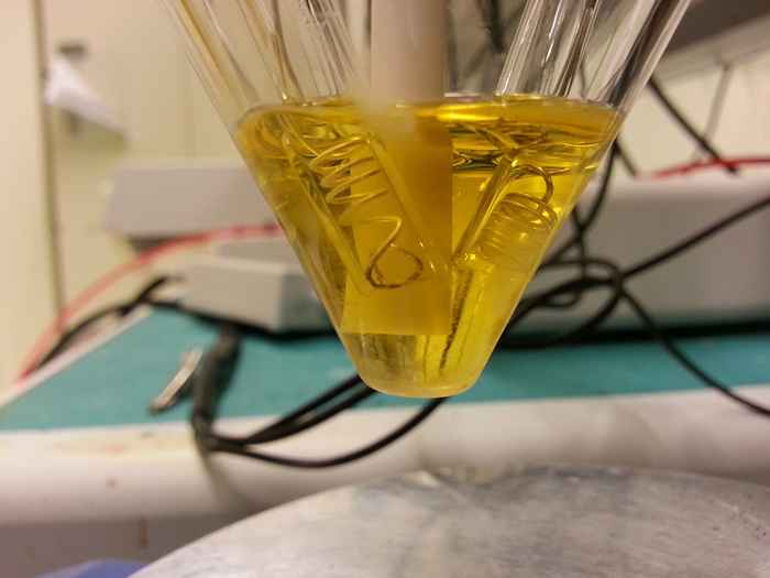 Hydrogen cell HomKat