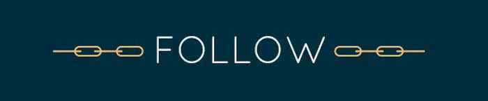 logo van Follow, het woord met daaromheen een geschakelde ketting