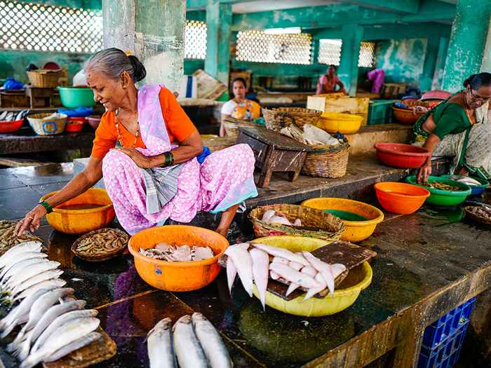 woman selling fish at a fish market in India
