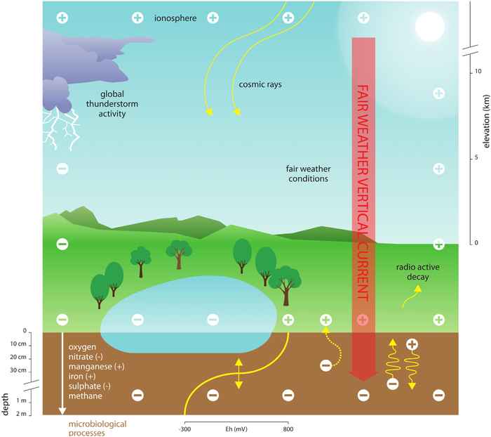 Conceptueel diagram van de voorgestelde link tussen atmosferische elektriciteit (AE), elektrochemie aan het aardoppervlak en microbiele processen (bron: https://doi.org/10.3389/fphys.2019.00378).
