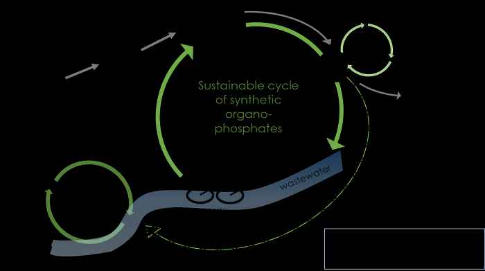 Schematic representation of the research