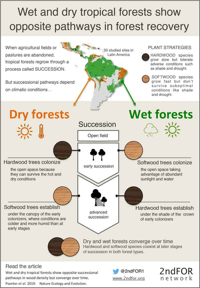 Infographic Wet and Dry forests