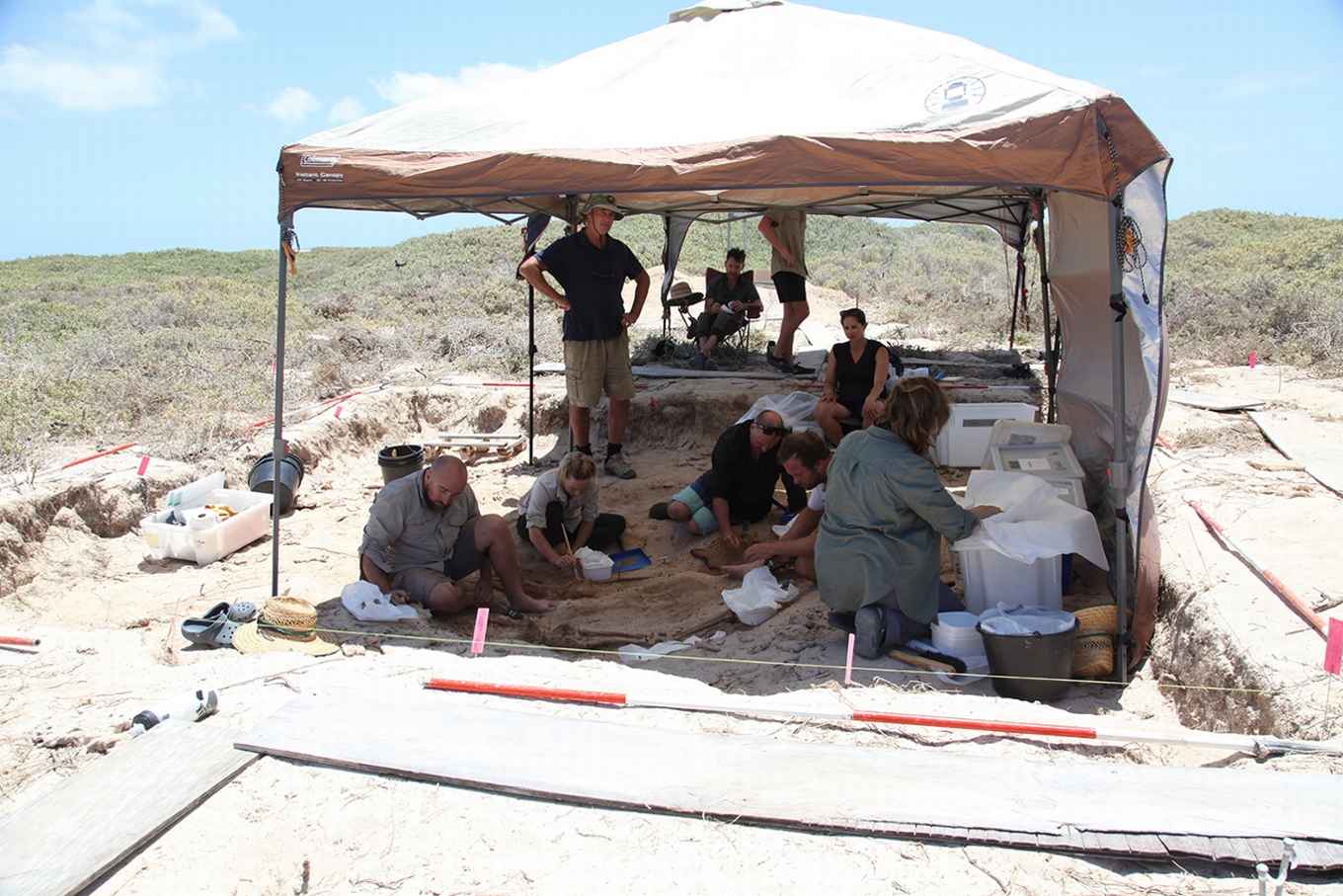 Batavia Team at work 2017