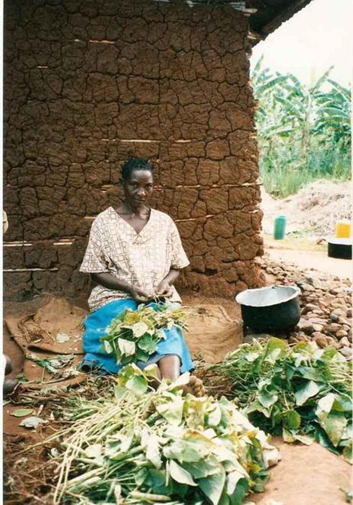 Harvest