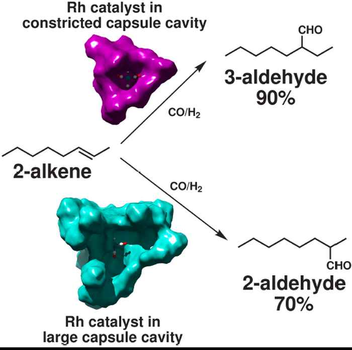 In de kleine holte (roze) geeft de rhodium katalysator aanleiding tot de vorming van het 2-aldehyde. Zit de katalysator in de grote holte (blauw) dan ontstaat het 3-aldehyde. Toepassing van de niet-ingekapselde katalysator resulteert in een 1:1 mengsel van beide producten. Met traditionele katalyse was het tot nu toe niet mogelijk de selectiviteit van deze lastige reactie te beheersen.