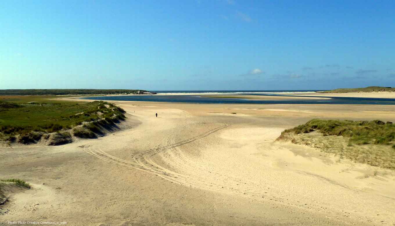 Plant schiet in verdediging bij te zoute bodem, FNWI