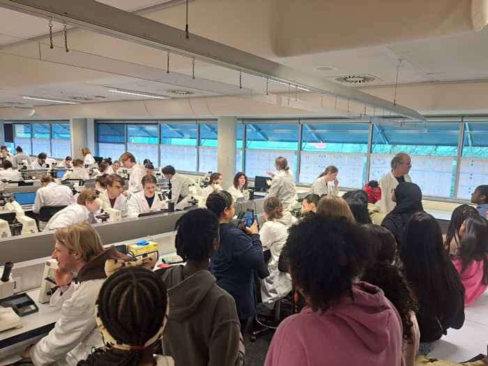 Bezoekers van Girls' Day kijken op de UvA mee bij een neuroanatomiepracticum