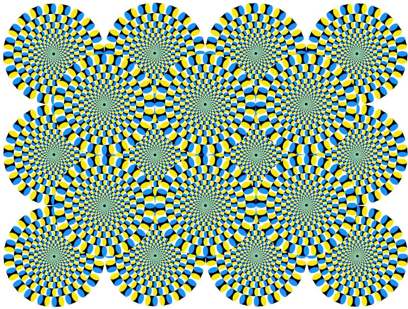 De ‘roterende slangen’-illusie van de Japanse psycholoog Akiyoshi Kitaoka. De illusie van roterende beweging is het sterkst in de periferie van je blikveld – daar waar je je blik juist niet op richt (gereproduceerd met toestemming van A. Kitaoka, Department of Psychology, Ritsuymikan University, Japan)