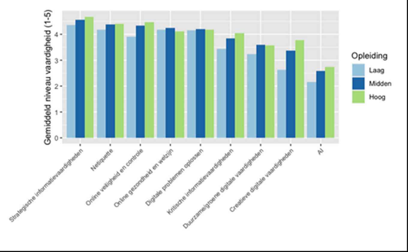 Het gemiddelde niveau per vaardigheid en naar opleiding
