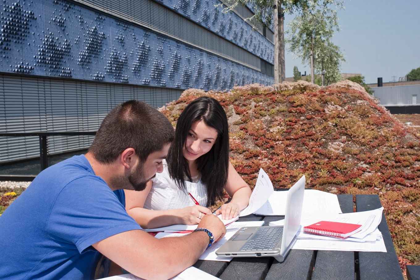 students on roof terrace