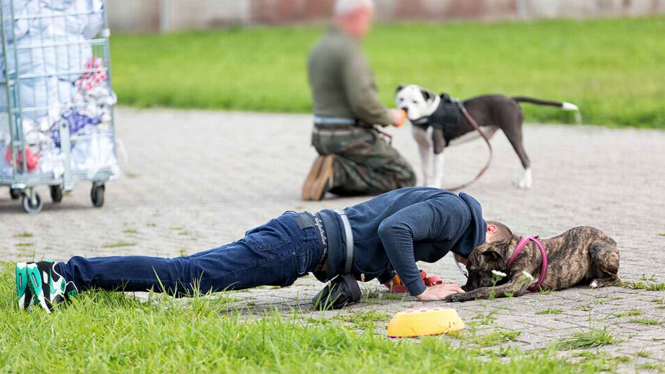 DCD in PI Lelystad (foto: Folia, Daniël Rommens)