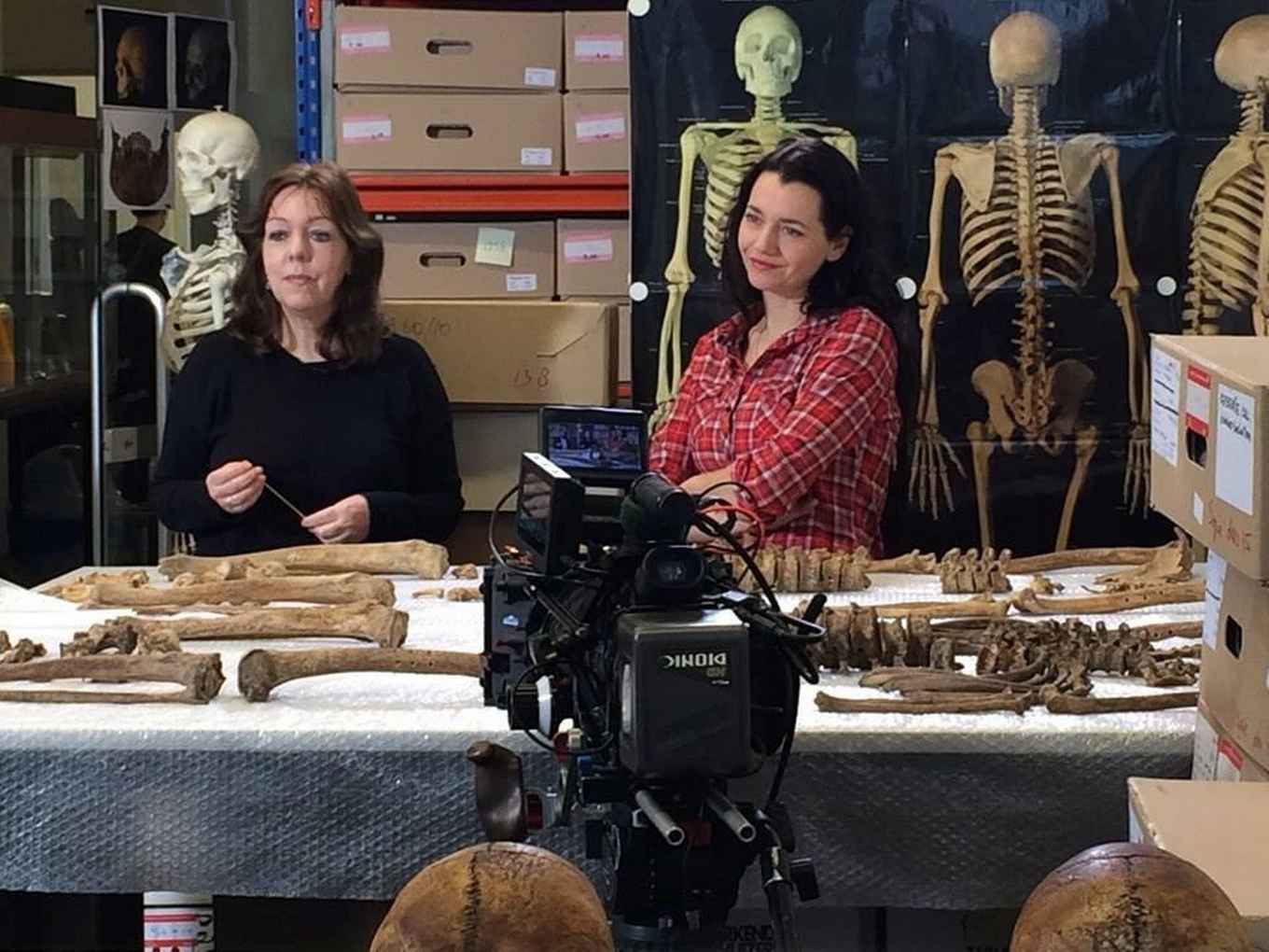 Liesbeth Smits De Kennis van Nu