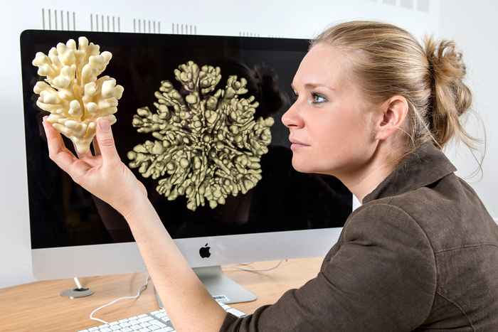 Computational Science UvA