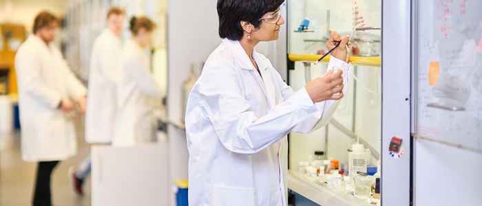 AUC students collage