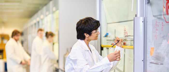 AUC students collage