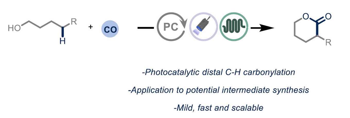graphical abstract of the paper