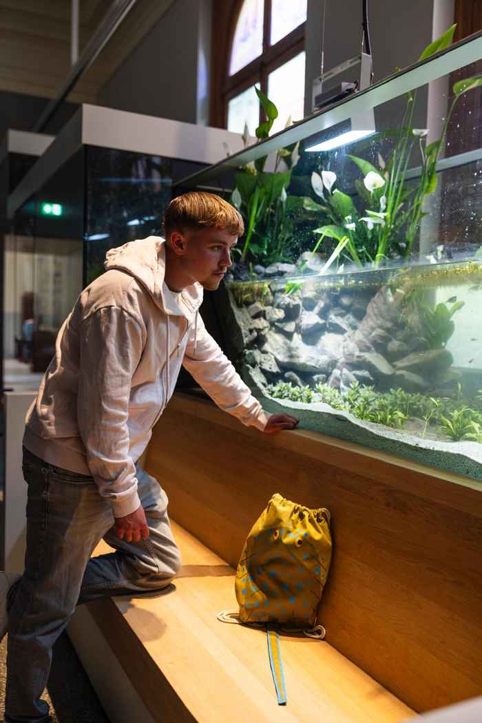 Coen kijken naar een aquarium
